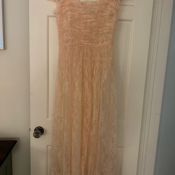 Pamelina Doen Sheer Lace Dress - Picture 5 of 6